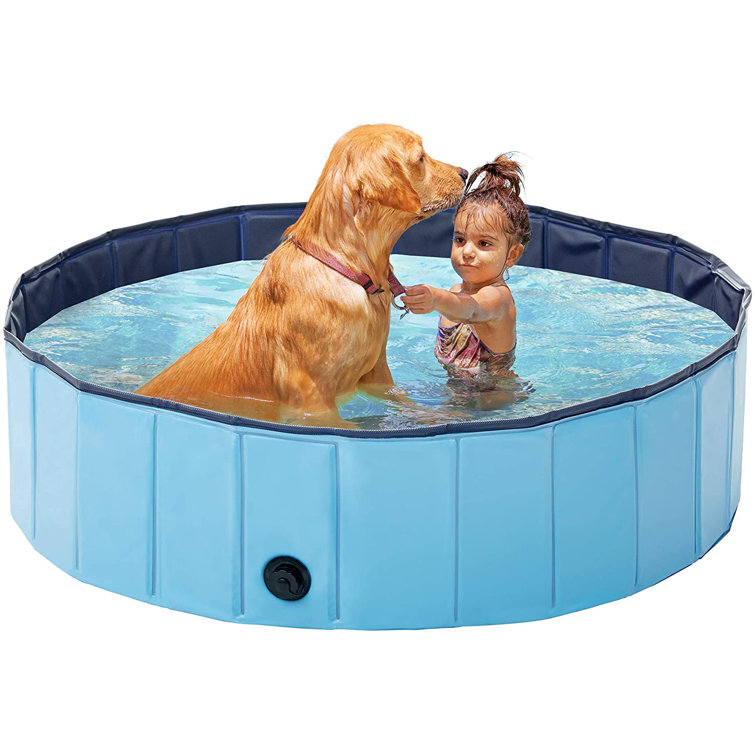 backyard kiddie pool