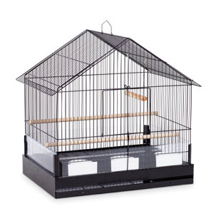 hanging bird cage stand