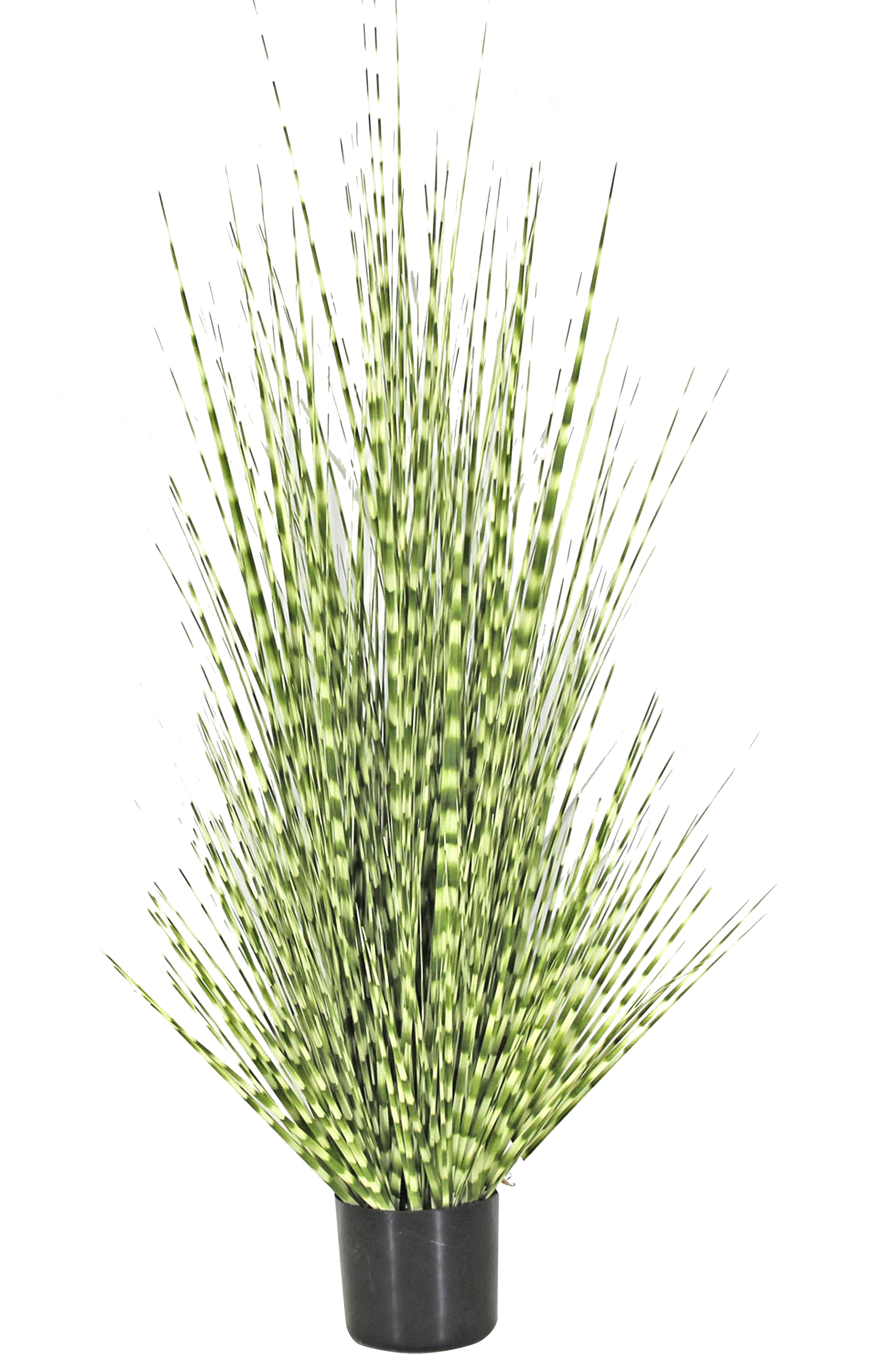 zebra plant yard garden outdoor living on Bay Isle Home Zebra 55 Artificial Zebra Grass Plant In Pot Reviews Wayfair