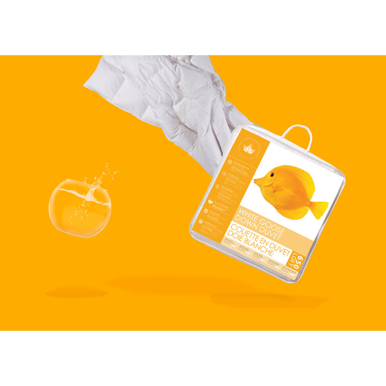 650 fill down comforter