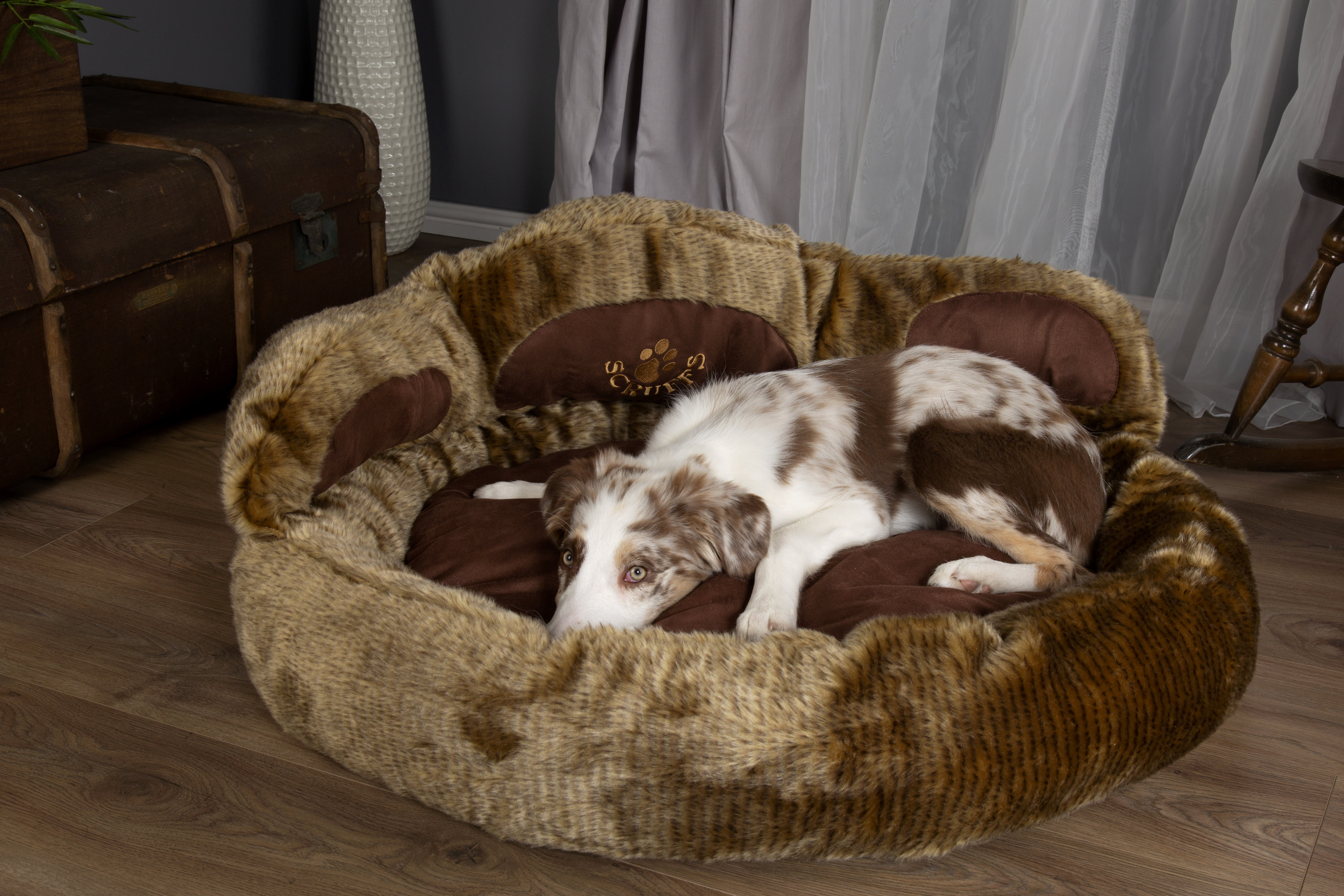 scruffs cub bear dog bed