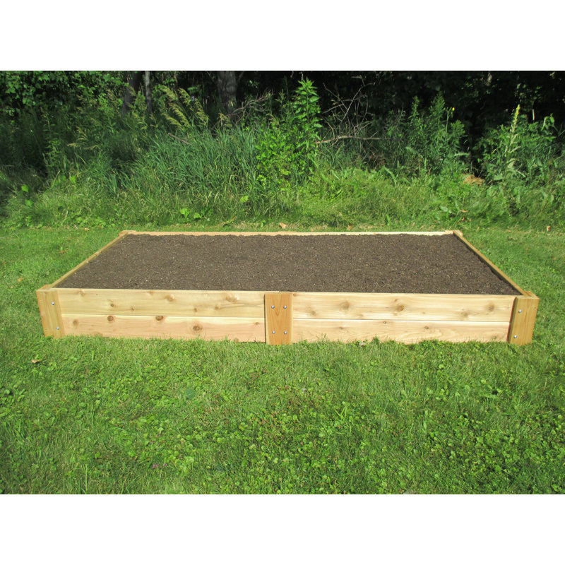 Arlmont Co Nadeau 8 Ft X 4 Ft Cedar Raised Garden Reviews Wayfair Po box 6772 sioux falls, sd 57117. nadeau 8 ft x 4 ft cedar raised garden