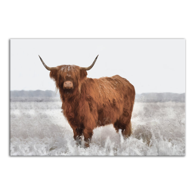 Hairy Highland Cow In Gray Field Wrapped Canvas Painting Print