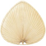 Hunter Palm Leaf Ceiling Fan Wayfair