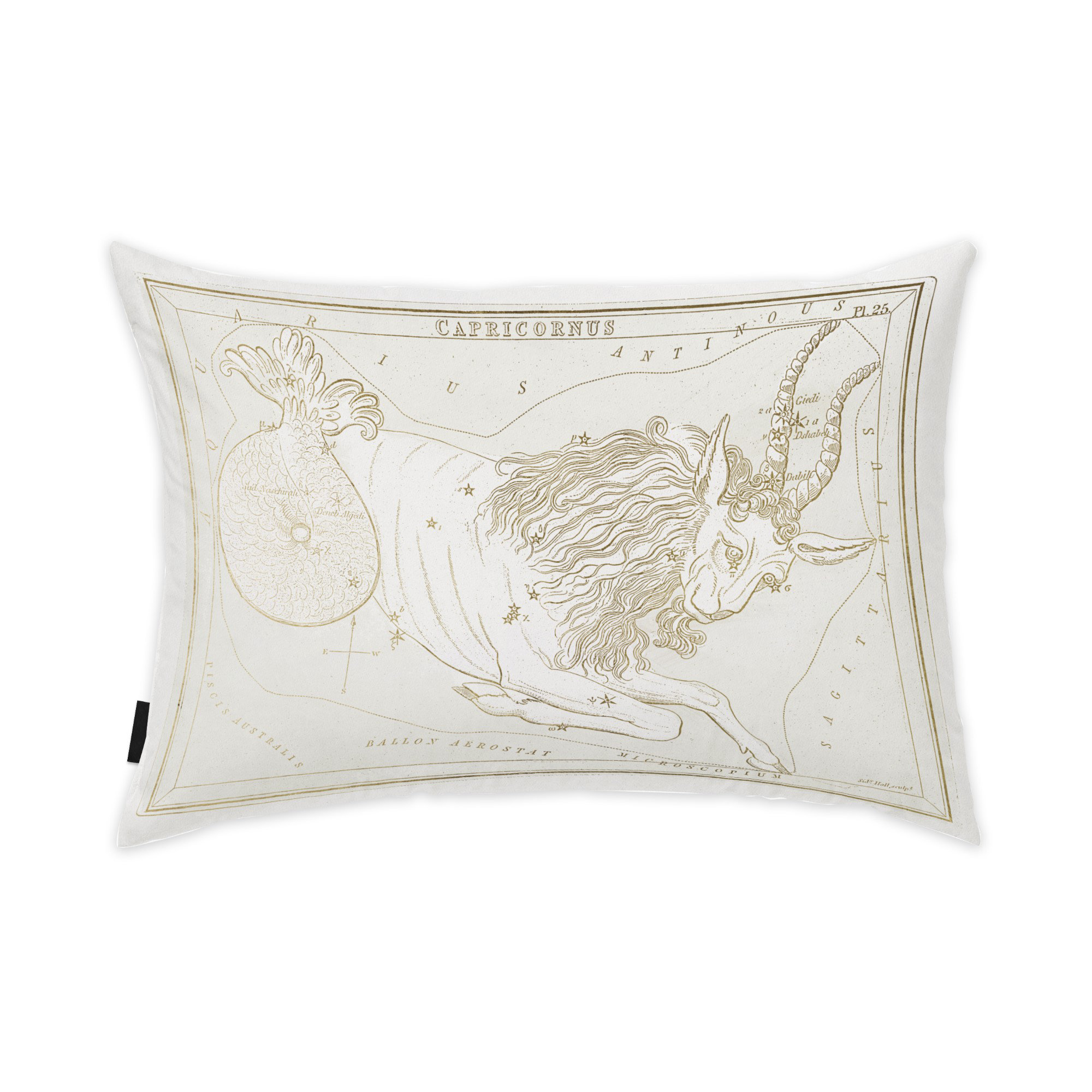 Trinx Zodiac Rectangular Pillow Cover & Insert Wayfair