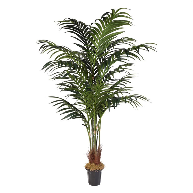 Bloomsbury Market Silk Floor Kentia Palm Tree In Pot Wayfair