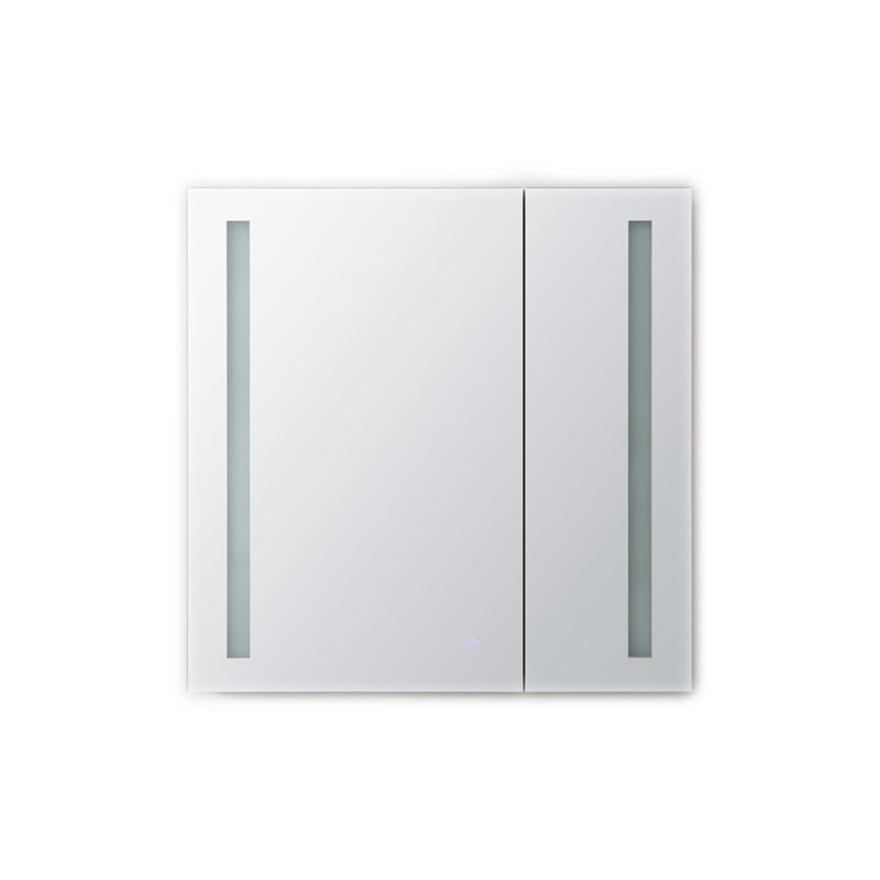 Orren Ellis Dili Recessed Or Surface Mount Frameless 2 Door