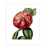 Graphic Prints And Posters Large Framed Art You Ll Love In 2021 Wayfair