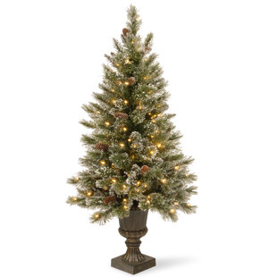 Green White Pine Trees Artificial Christmas Tree With 150 Incandescent Clear Lights Green White Pine Trees Artificial Christmas Tree With 150 Incandescent Clear Lights
