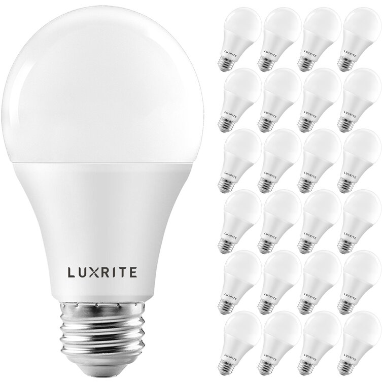 standard 100w light bulb lumens