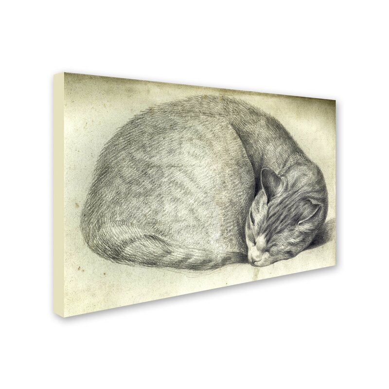 Trademark Art Sleeping Cat Wall Art On Wrapped Canvas Wayfair
