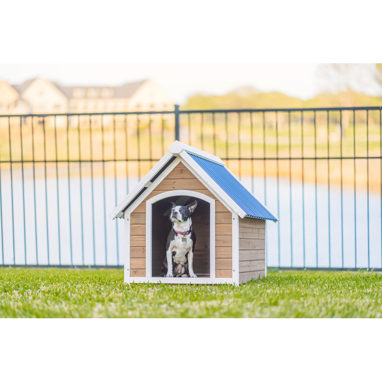 how to keep a dog in a dog house