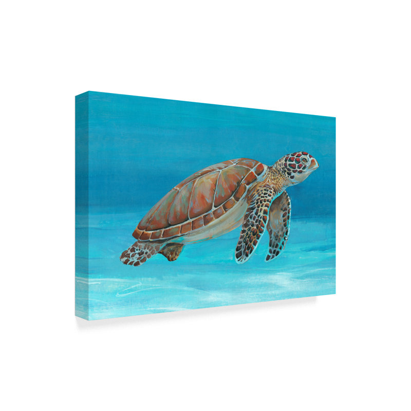 Highland Dunes Ocean Sea Turtle I Acrylic Painting Print On