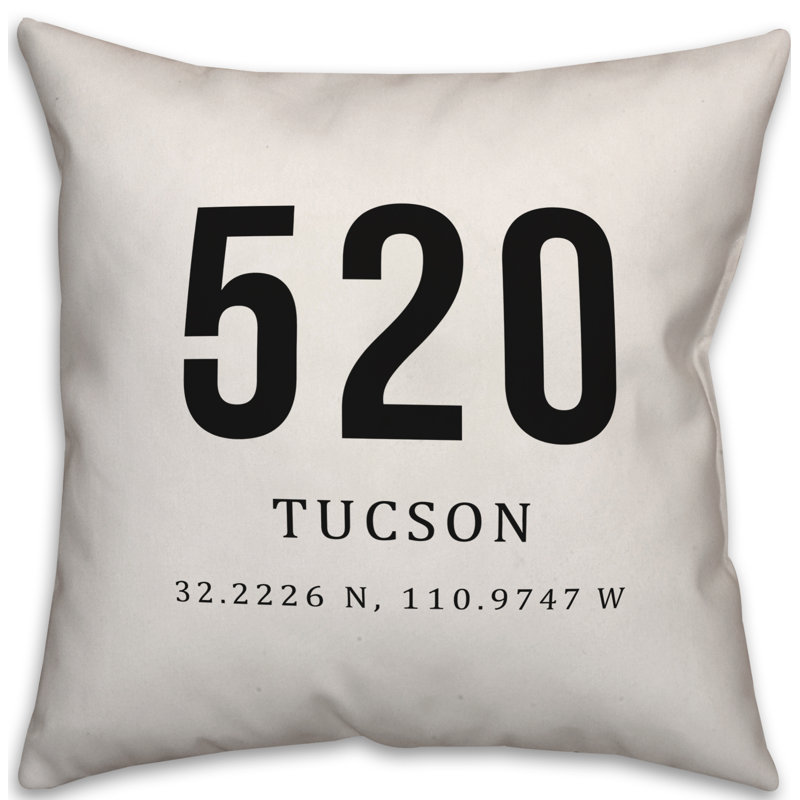 Winston Porter Ridgewood Tucson Coordinates Indoor Outdoor Throw Pillow Wayfair