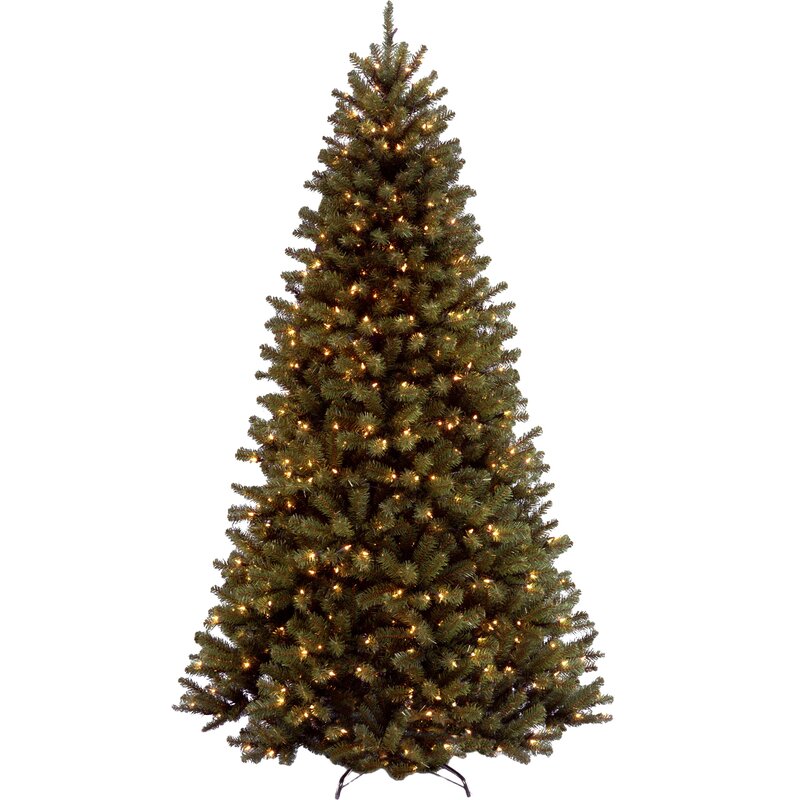 spruce christmas tree