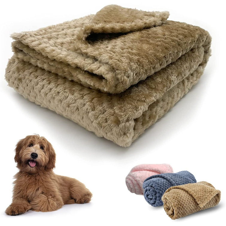 dog throw blanket