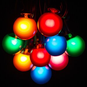 25-Light Globe String Lights