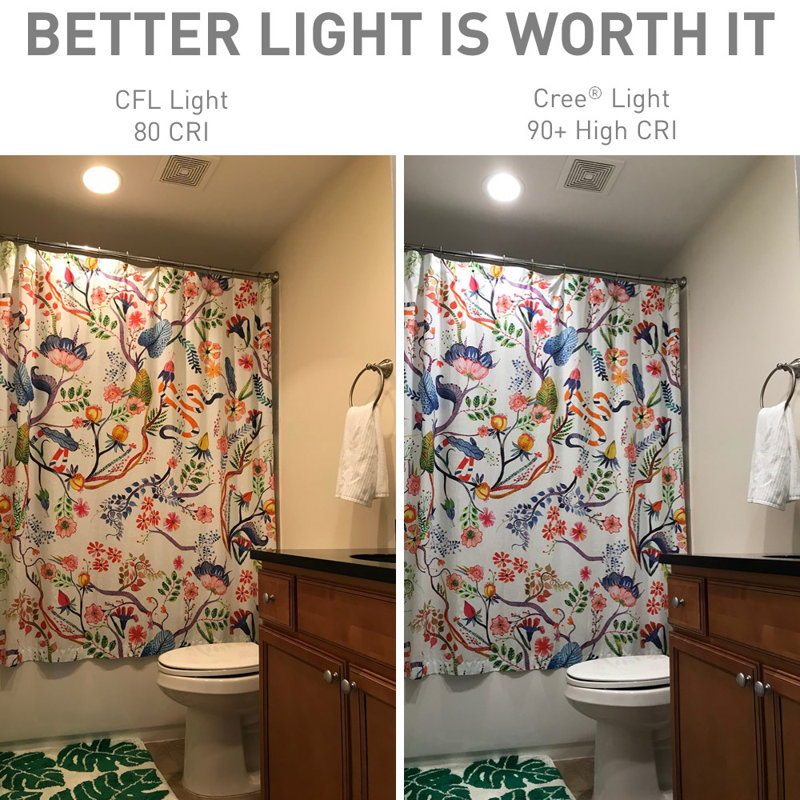 6 Watt 40 Watt Equivalent A19 Led Dimmable Light Bulb 3000k E26 Medium Standard Base Birch Lane