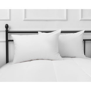 body pillow canada