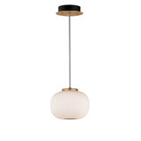 Modern Unique Statement Pendant Lighting Allmodern