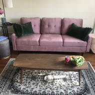 Latitude Run Brodde Velvet 71 Square Arms Sofa Reviews Wayfair