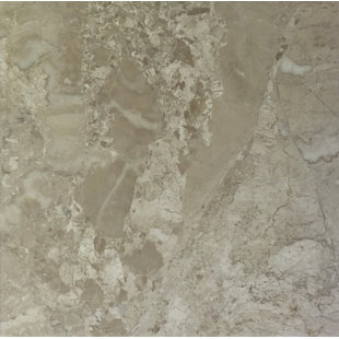 Diana Royal 18" x 18" Marble Field Tile in Beige by