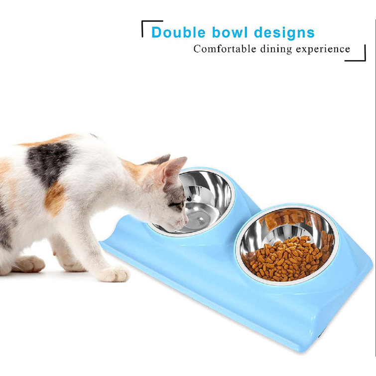 large cat bowls