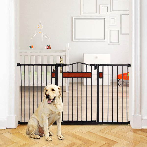 Tucker Murphy Pet™ Cayse Wall Mounted Pet Gate | Wayfair