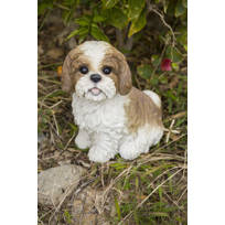 shih tzu items