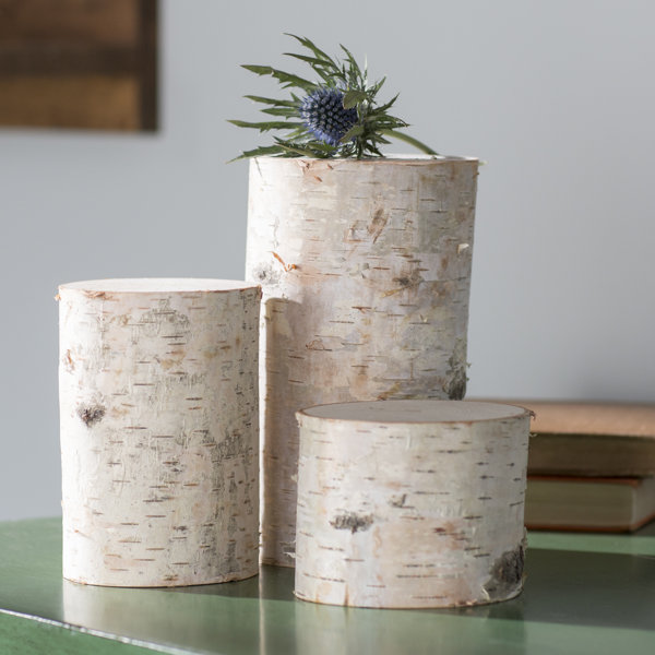 Decorative White Birch Logs Wayfair