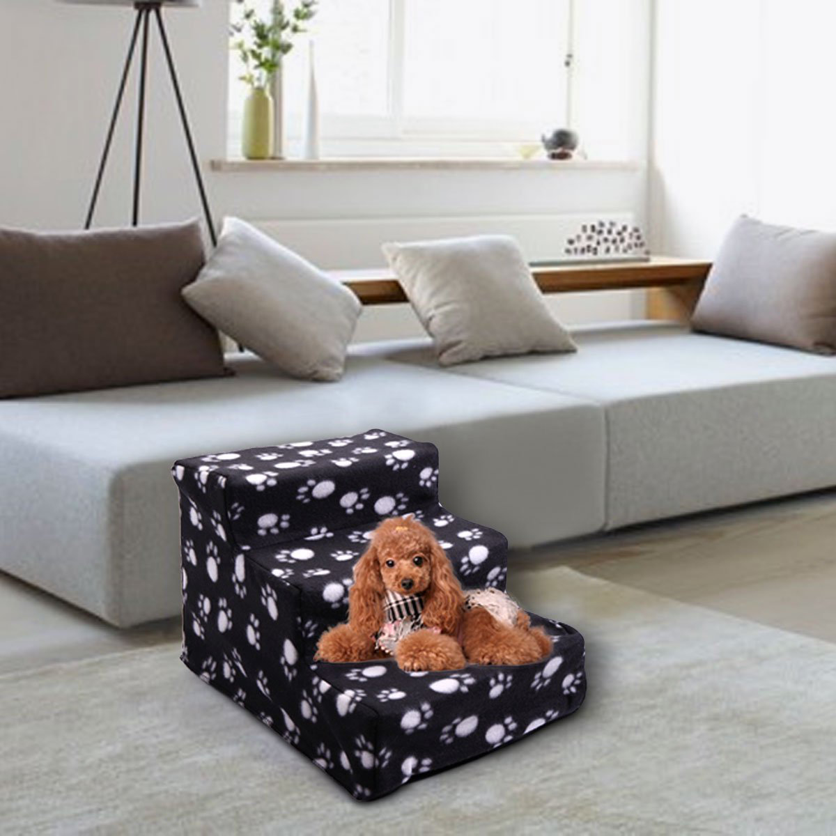 Can Small Dogs Climb Stairs