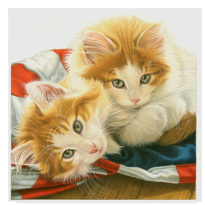 Trademark Art Orange Kittens Acrylic Painting Print On Wrapped