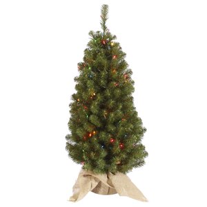 Felton 3.5' Green Pine Artificial Christmas Tree with 100 Multi-Colored Lights