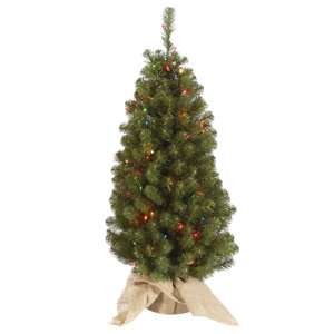 Felton 3.5' Green Pine Artificial Christmas Tree with 100 Multi-Colored Lights