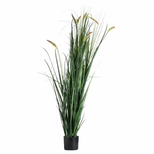 150 Cm Artificial Cedar Grass In Pot By The Seasonal Aisle