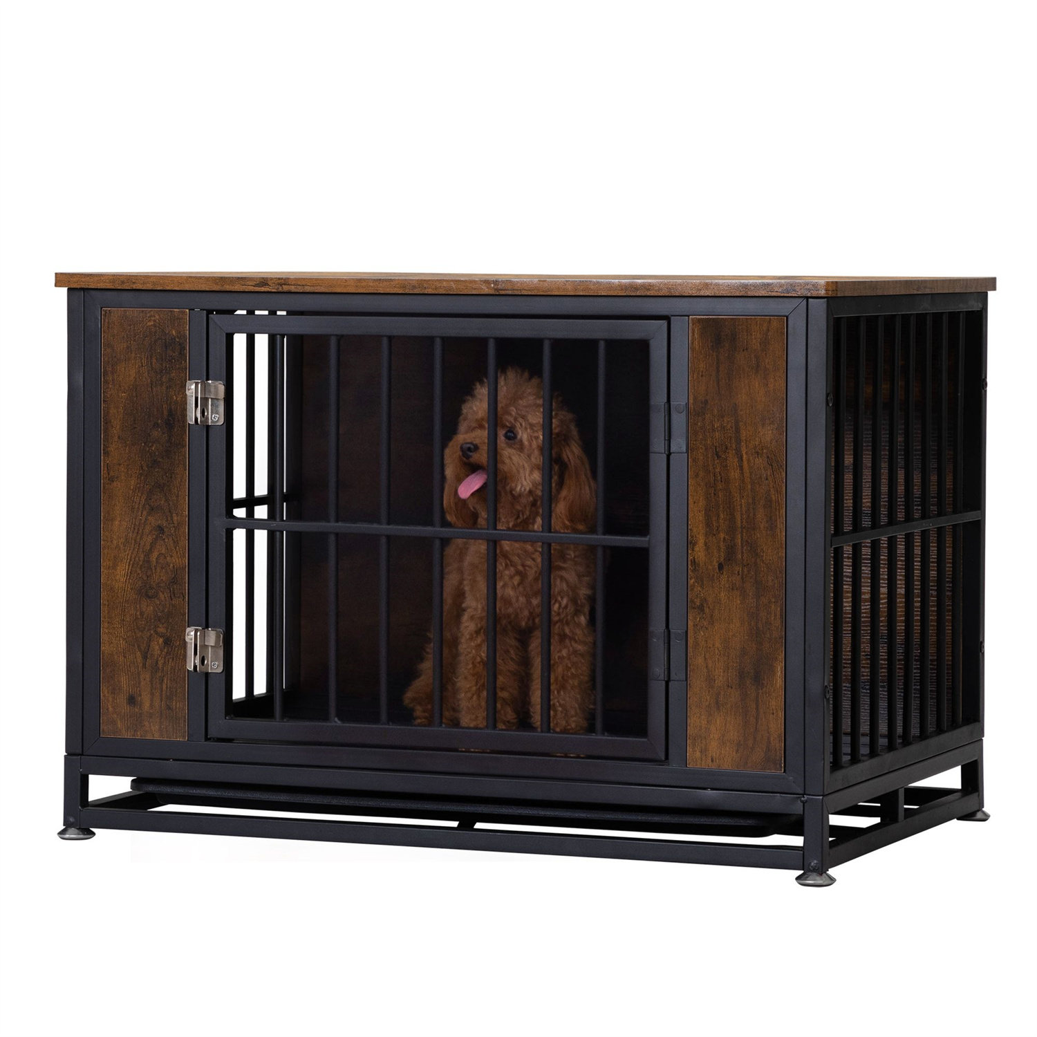 coffee table for dogs
