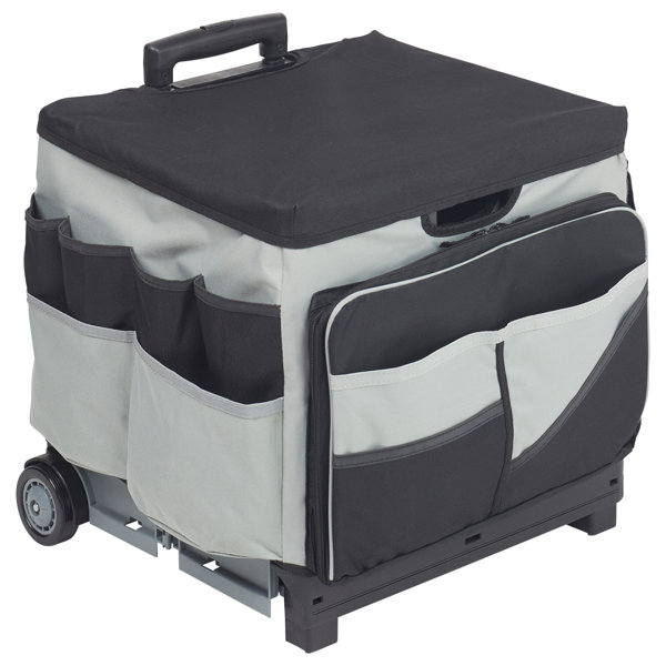 Ecr4kids Memorystor Universal Rolling Set With Cart And Bag Reviews Wayfair