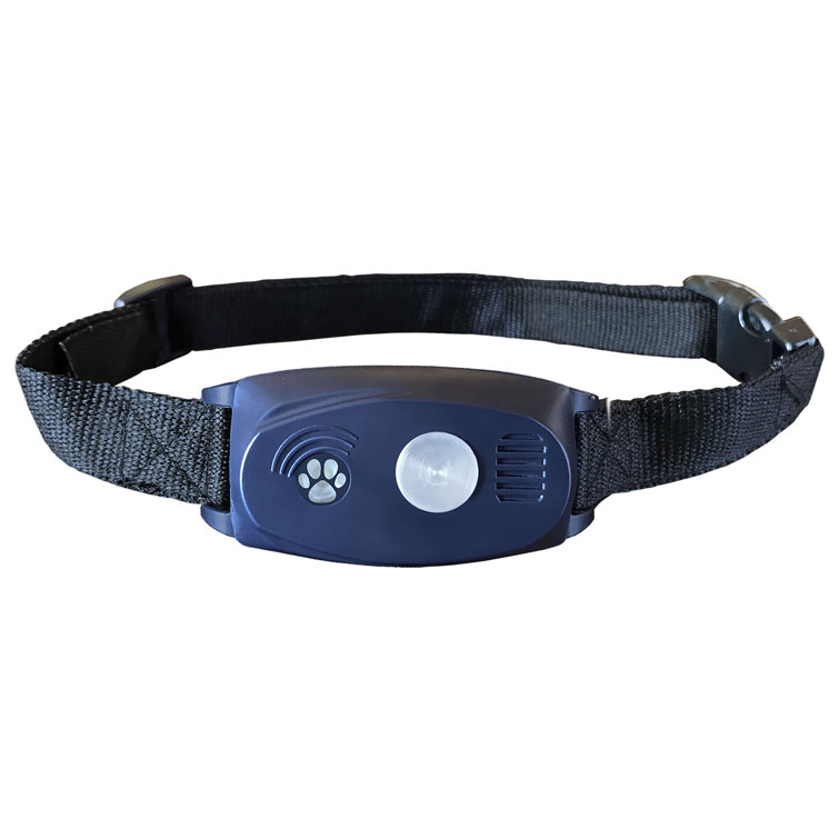 home depot dog training collar