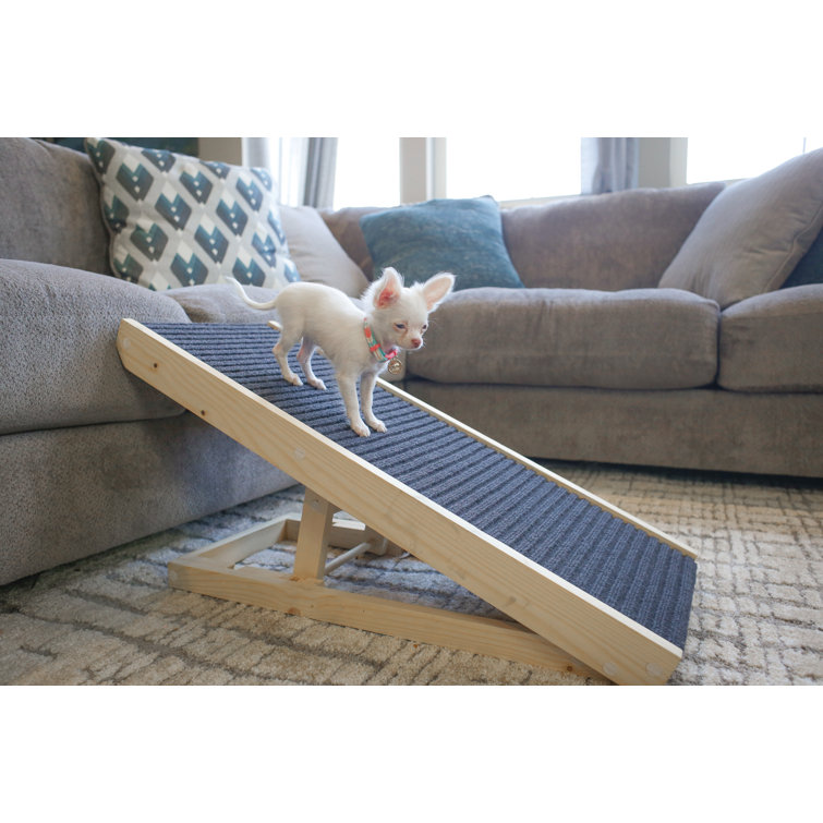 pet ramp