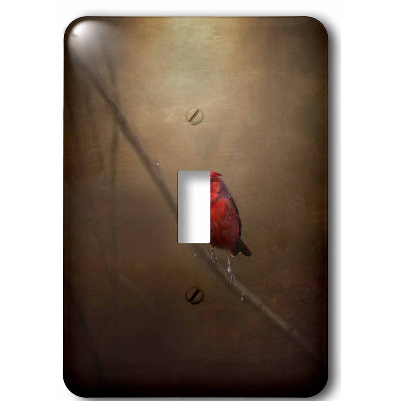 3drose Cardinal Fine 1 Gang Toggle Light Switch Wall Plate Wayfair