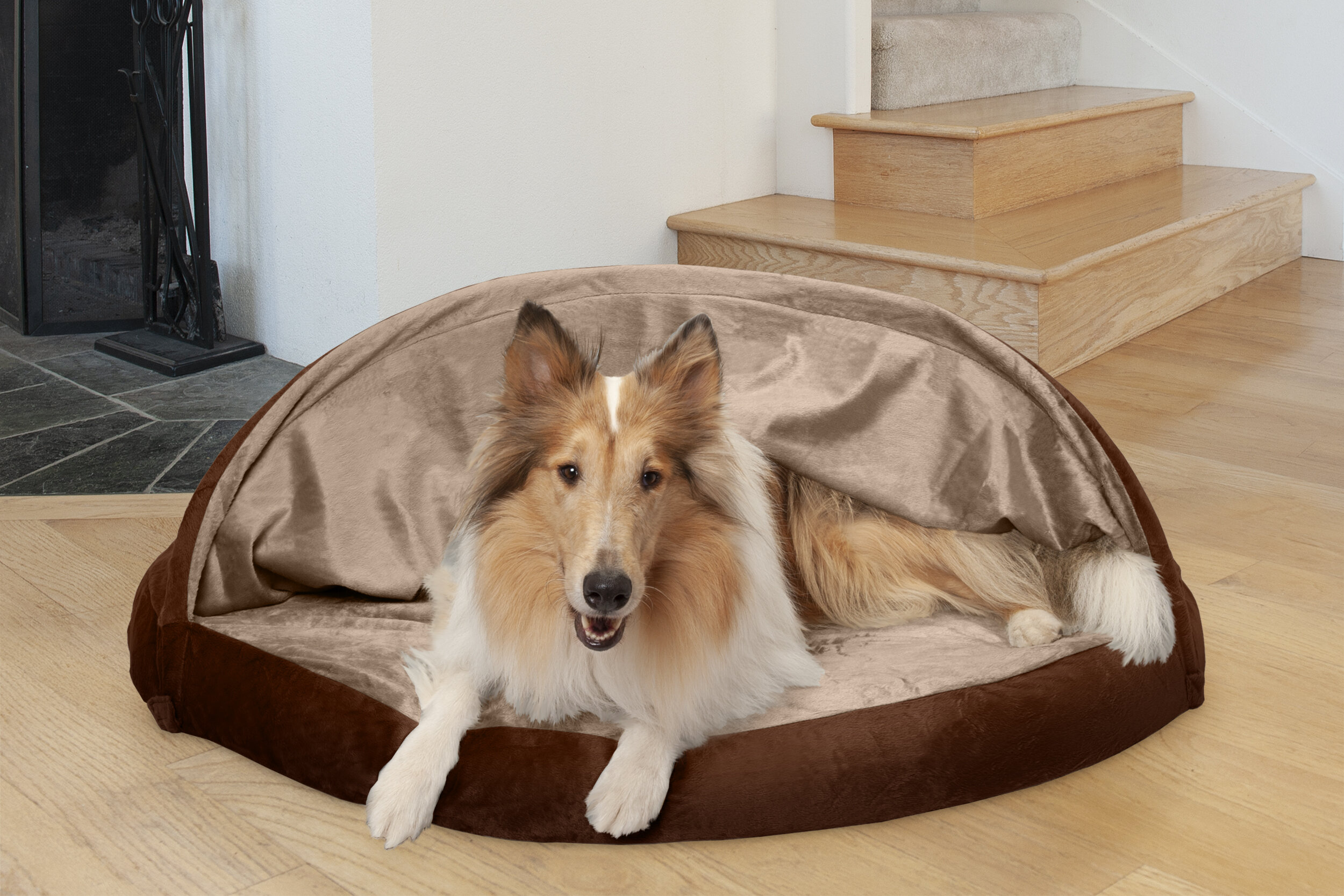 large dog dome bed