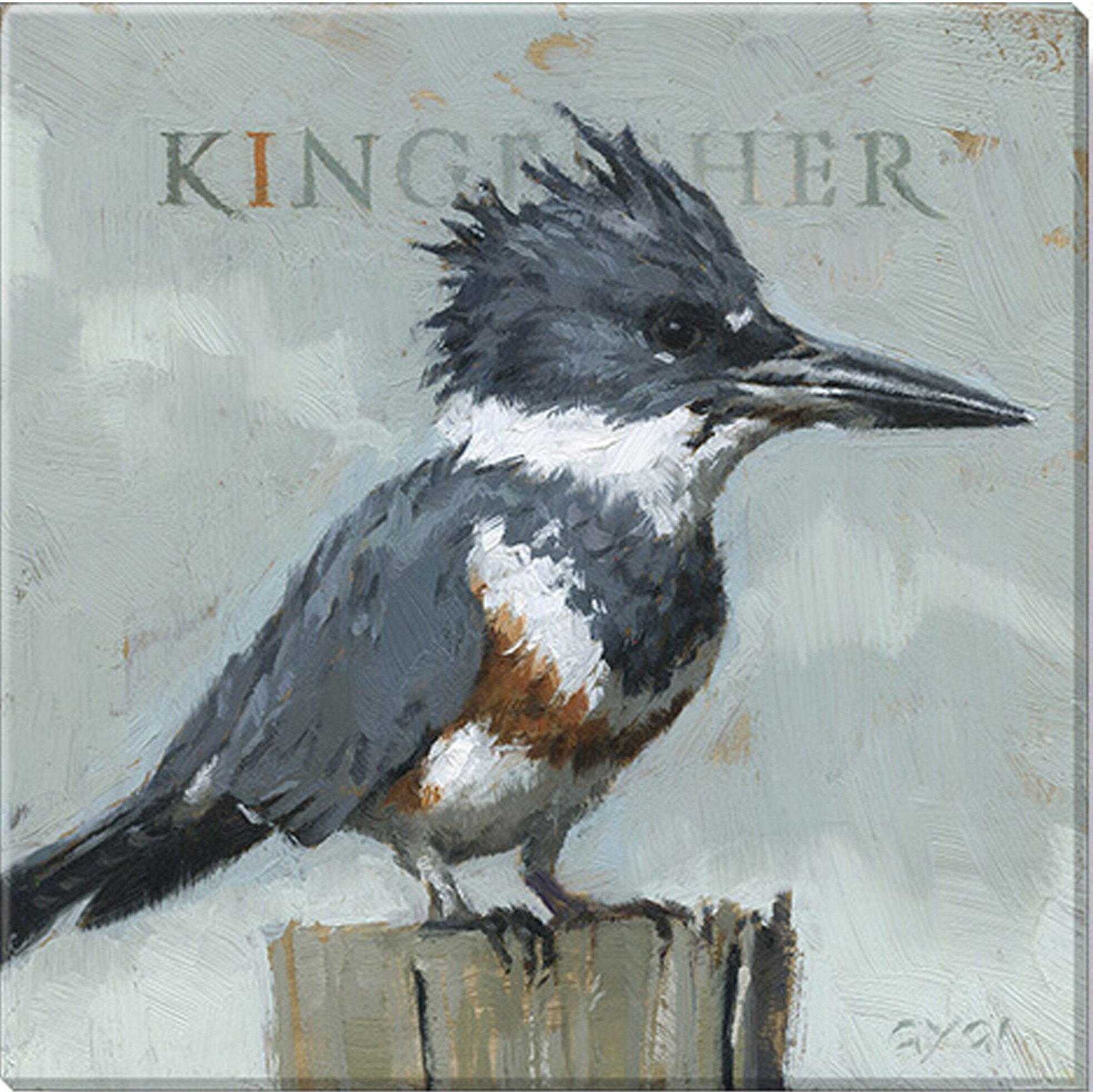 Darren Gygi Home Collection Kingfisher Giclee Wall Art by Darren Gygi ...