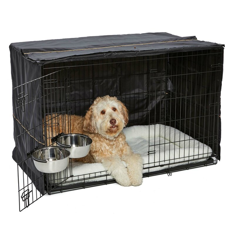black dog crate