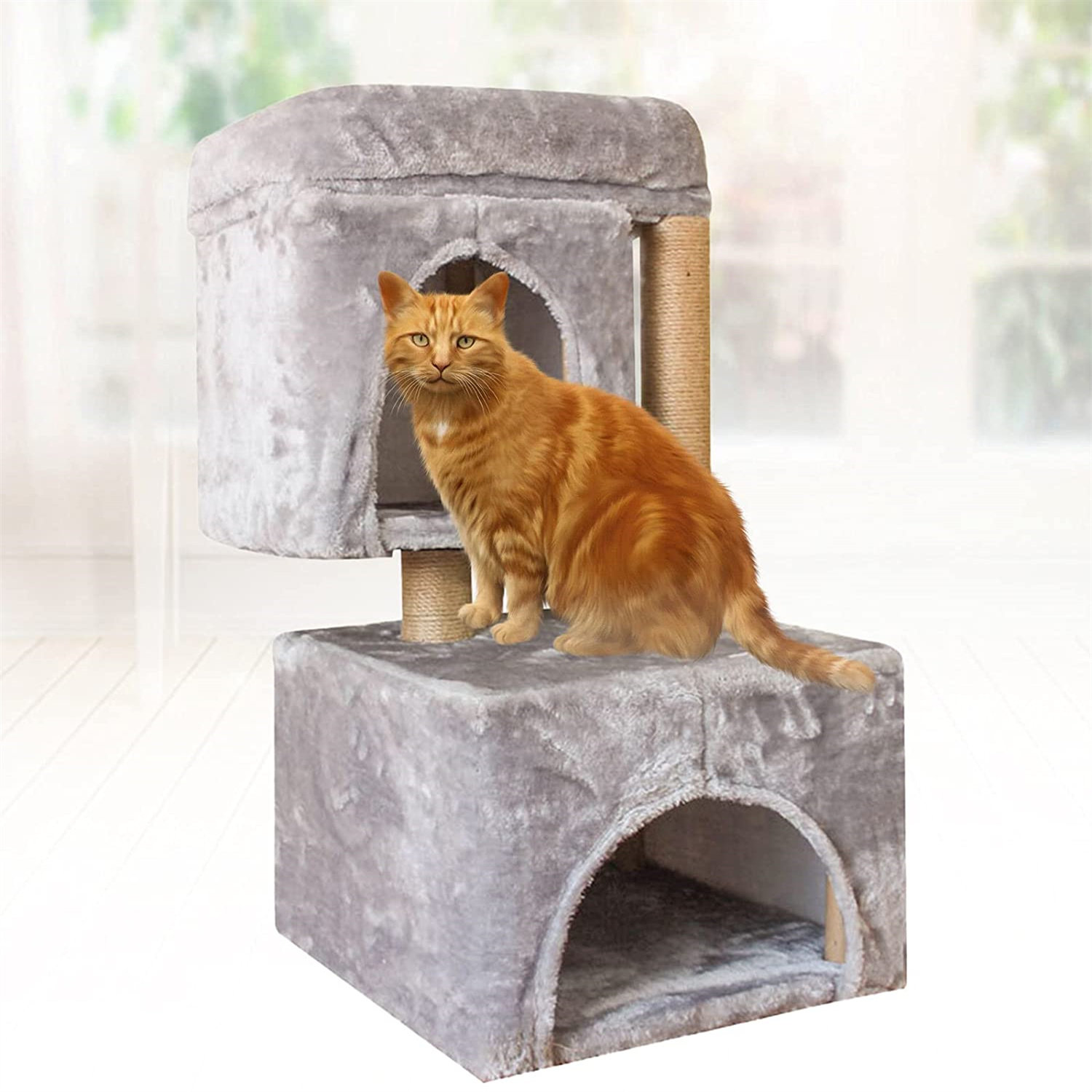 cat climbing frames