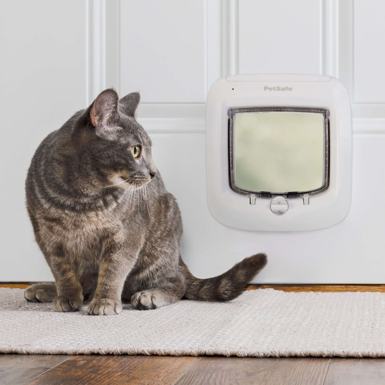 cat flap with microchip reader