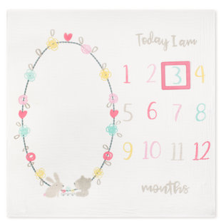 winnie the pooh milestone blanket