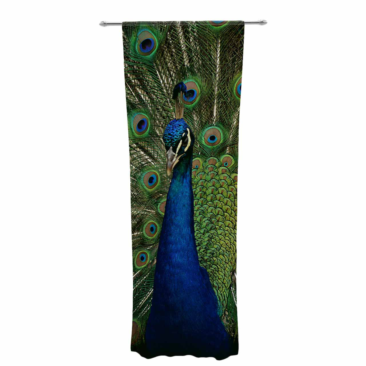 East Urban Home Angie Turner Proud Peacock Decorative Wildlife
