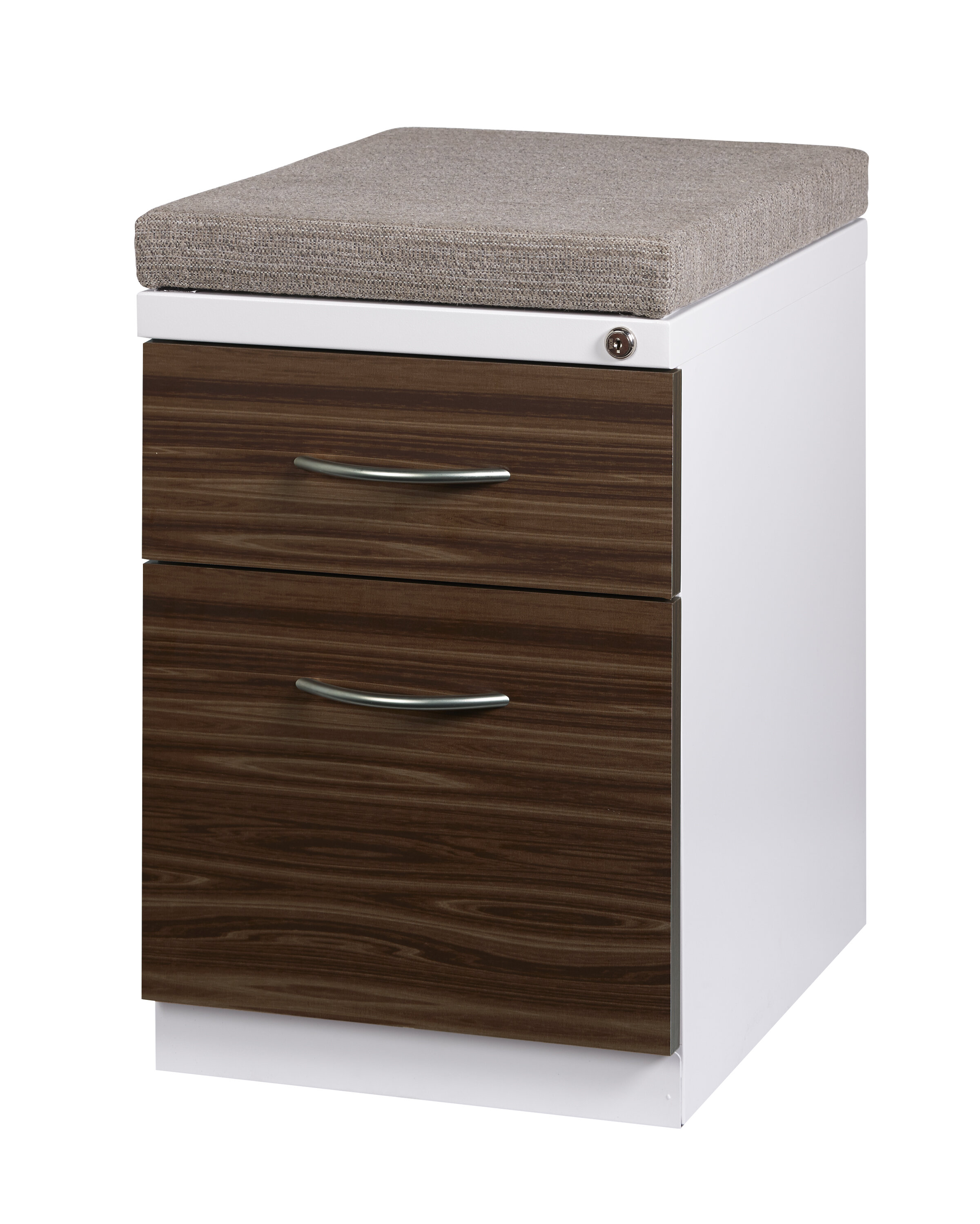 Inbox Zero 2 Drawer Mobile Vertical Filing Cabinet Wayfair