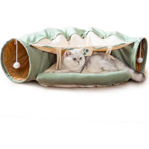 wayfair cat teepee