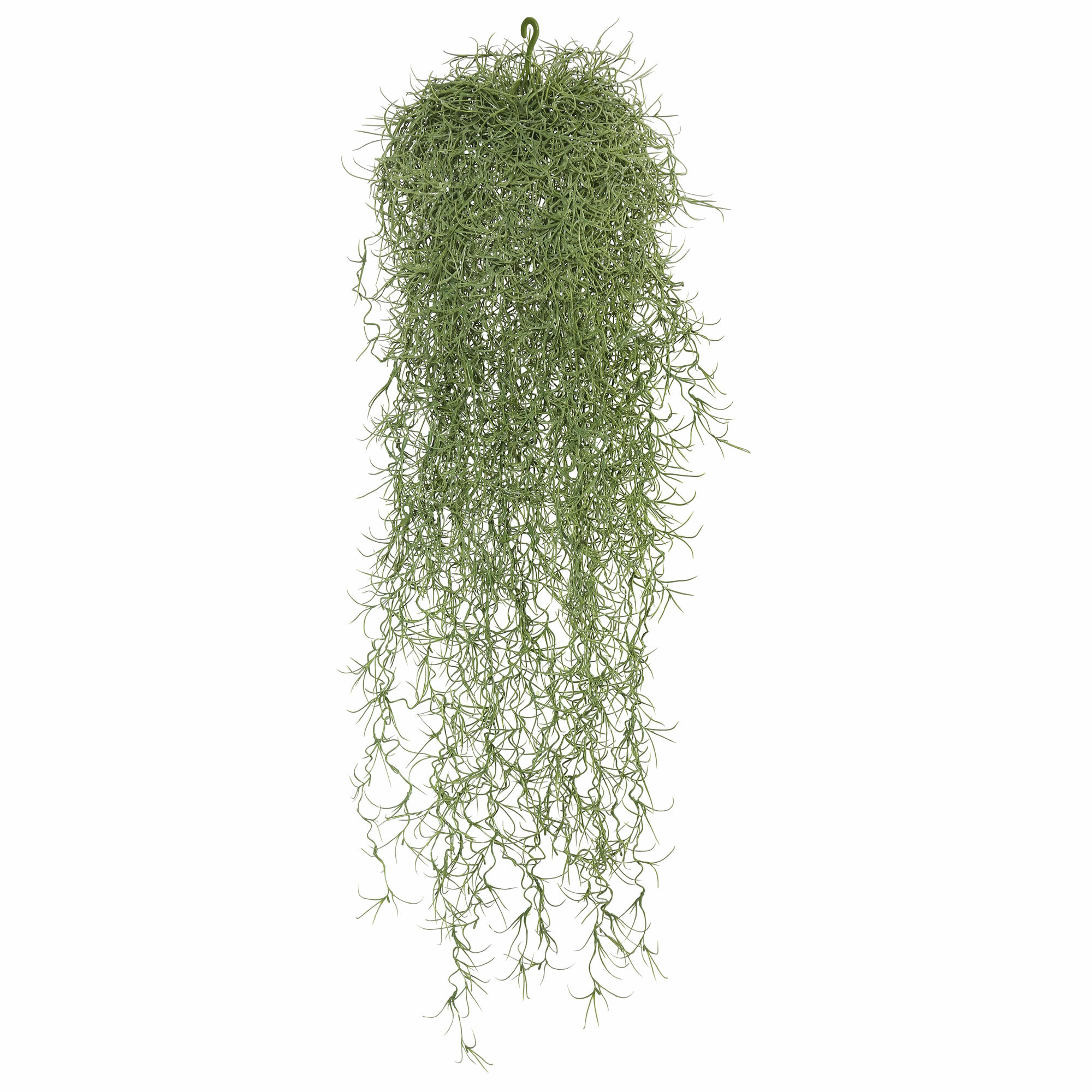 Gracie Oaks Powder Long Hair Hanging Bush & Reviews | Wayfair